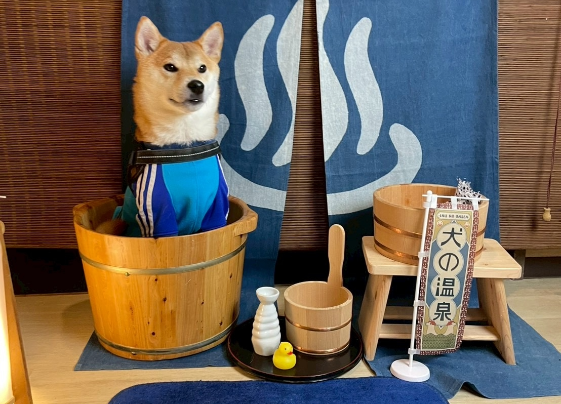 若手社員のクリスマスの過ごし方